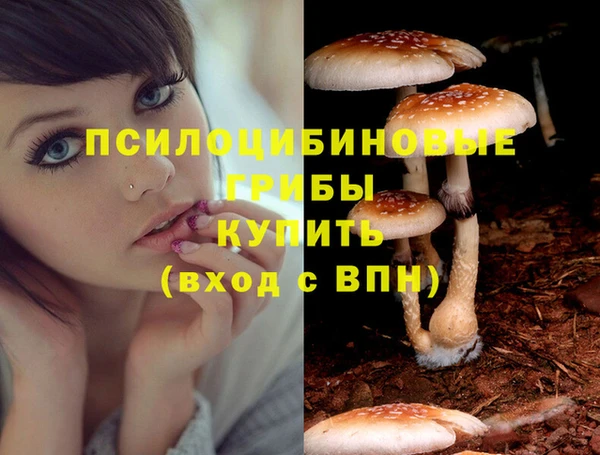 ECSTASY Богородицк